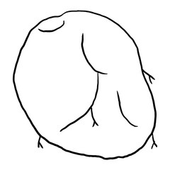 Potato Outline  doodle suitable for restaurant or vegetable supermarket illustrations, icons, packaging designs, and other product needs related to processed vegetable foods