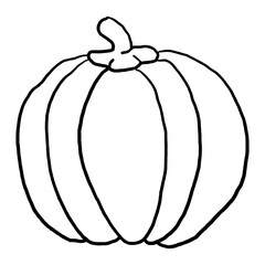 Pumpkin Outline  doodle suitable for restaurant or vegetable supermarket illustrations, icons, packaging designs, and other product needs related to processed vegetable foods