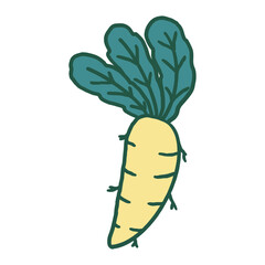 Fototapeta premium Radish Doodle Illustration suitable for restaurant or vegetable supermarket illustrations, icons, packaging designs, and other product needs related to processed vegetable foods
