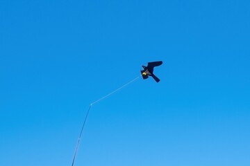 Kite in the shape of an eagle flying against the blue sky.