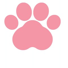 Cat paws 猫の肉球