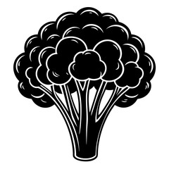 Broccoli silhouette black and white vector illustration