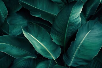 Obraz premium Abstract bold green leaves texture background, elegant tropical banana leaf details, nature wallpaper, vintage tone, deep shading, foliage, ecology concept, dark moody feel. refined,elegance. leaf, ai