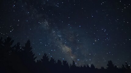 Fototapeta premium Milky Way Over Forest