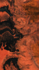 Shiny paint. Ink background. Sparkling texture. Orange shimmering tiger color mixing black liquid wave glowing abstract blur art.