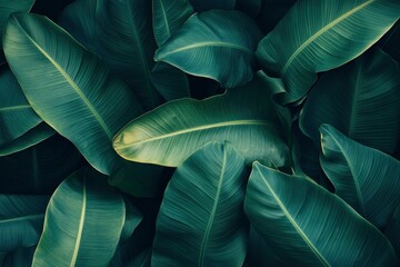 Abstract bold green leaves texture background, elegant tropical banana leaf details, nature wallpaper, vintage tone, deep shading, foliage, ecology concept, dark moody feel. refined,elegance. leaf, ai