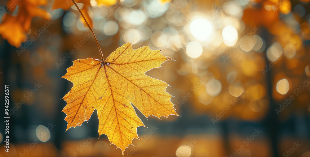 Poster close-up of a yellow autumn leaf. a bright orange tree changes with a blurred bokeh background. gold