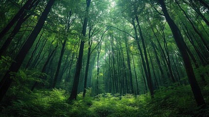 Obraz premium Dark woods, very dense, green. Generative AI.