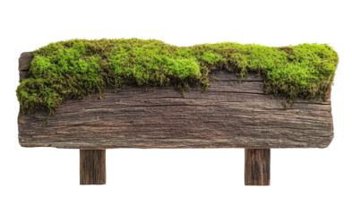 Old wood sign board with green moss isolated on transparent background