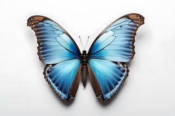 A stunning morpho butterfly with metallic blue wings spread on a white background, AI Generated