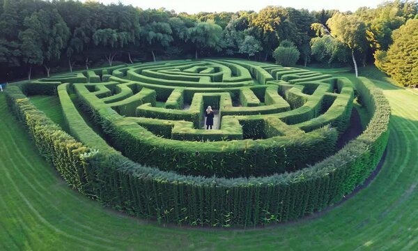 A person stands at the maze's center, contemplating the path through a lush green hedge labyrinth