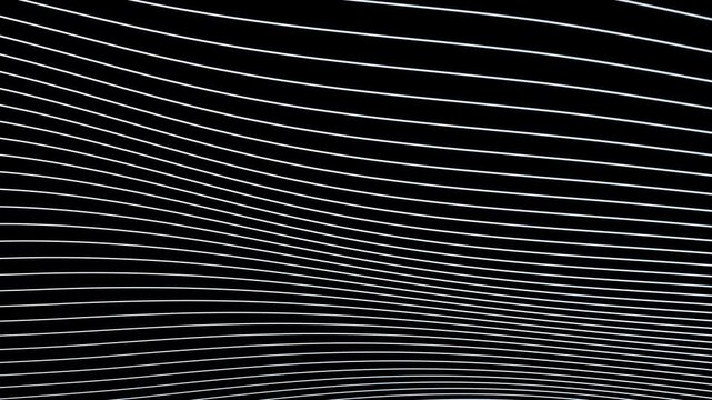 Loop white wavy lines pattern motion on black background.