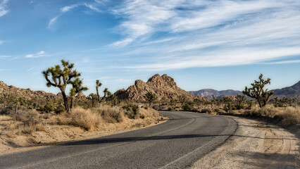 A lonely desert road curving off to the left through hills filled with Joshua Trees (Joshua Tree National Park)