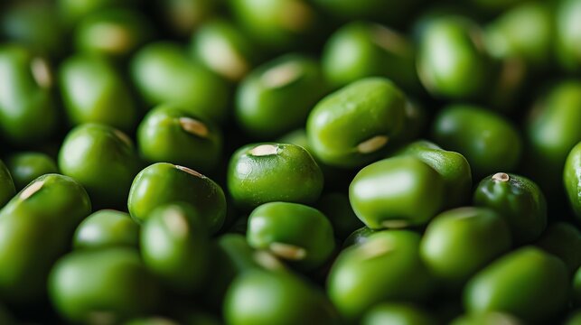A zoomed-in view of mung beans, highlighting their small size and bright green color