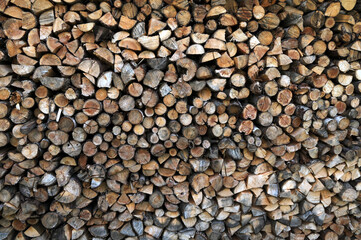 A pile of firewood stacked and prepared for winter.