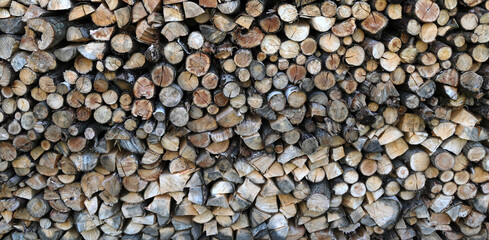 A pile of firewood stacked and prepared for winter.