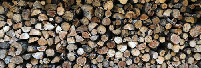 A pile of firewood stacked and prepared for winter.
