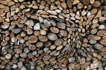 A pile of firewood stacked and prepared for winter.