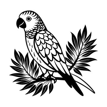 recommend clip art:  parakeet sitting on branch silhouette vector art