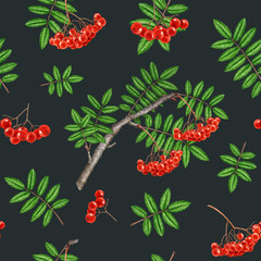 Rowanberry tree elements seamless pattern. Watercolor painted vintage style illustration. Hand drawn natural rowan red ripe berries, leaf elements seamless pattern design on dark background.