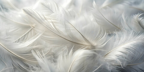Fototapeta premium White Feather Dreams: A delicate and ethereal background of soft, white feathers, illuminated by a warm, gentle light, creating a serene and calming ambiance. The intricate details and subtle textures