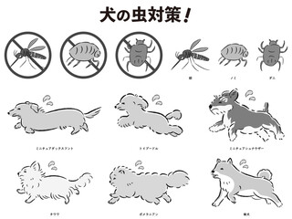 犬の虫対策のイラストセット