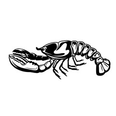 Crawfish | Freshwater Crustaceans | Tropical Crawfish | Wildlife | Crawfish Boil | Crawfish Claw | Lobsters | Crawdaddies | Original Illustration | Vector and Clipart | Cutfile and Stencil