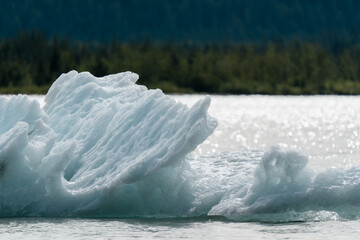 Iceberg (growler) floating in Mendenhall Lake at Mendenhall Glacier in Tongass National Forest in...
