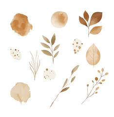 Beige Foliage Autumn watercolor elements, leaves