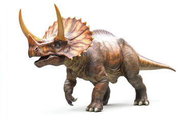Fototapeta premium A Brown Triceratops Dinosaur Standing with Open Mouth