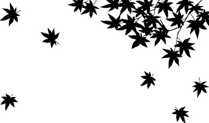 舞い落ちる紅葉のシルエット