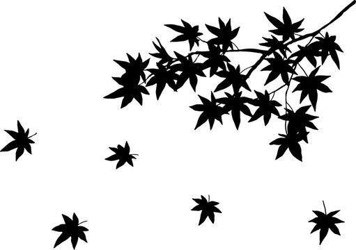 black leaves falling from branch clip art preview