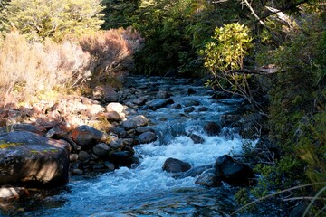 Water flows over the rusty brown rocks at The Silica Rapids