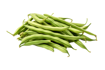 Fresh green bean isolated on transparent background, high-quality PNG illustration ideal for healthy food designs and cooking recipes