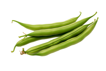 Fresh green bean isolated on transparent background, high-quality PNG illustration ideal for healthy food designs and cooking recipes