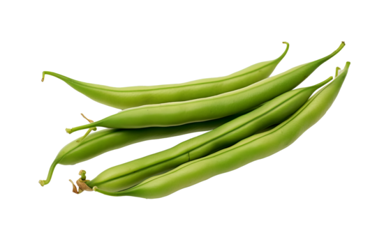 Fresh green bean isolated on transparent background, high-quality PNG illustration ideal for healthy food designs and cooking recipes