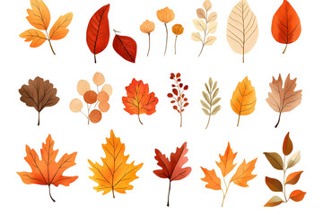 Watercolor autumn yellow leaves and plants collection isolated on white background