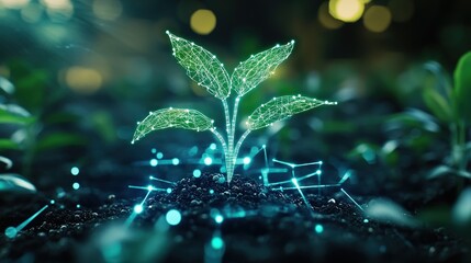 futuristic background and agricultural technology innovation. A young plant or growing seed. Cultivation or farming with agricultural technology. Abstract technology background.