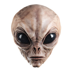 Naklejka premium Alien face isolated on white background
