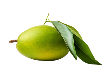 Fresh raw mango isolated on transparent background, ideal for culinary designs, tropical fruit illustrations, and organic produce marketing materials