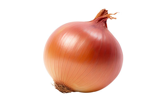 Fresh whole onion isolated on transparent background, high-quality PNG image for culinary and graphic design projects, ideal for recipes, food blogs, and kitchen-themed visuals