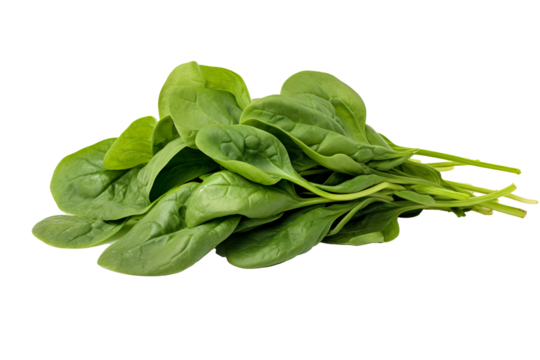 Fresh green spinach leaves isolated on transparent background in PNG format for healthy eating and organic food design projects