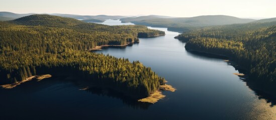 Obraz premium Serene Forest Lake at Dawn