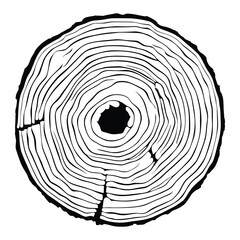 Fototapeta premium Log cut, vector illustration, tree rings pattern, shades of gray 