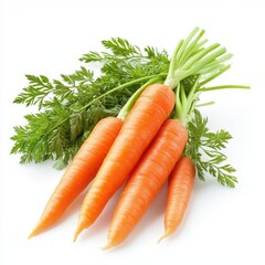 Fresh organic carrots with green leaves isolated on white background.