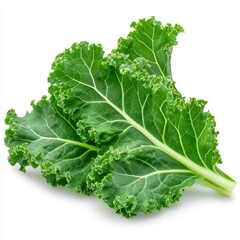Fresh green curly kale leaves isolated on white background.