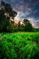 Summer morning landscape , field in forest . Green field near the forest , grass . Beautiful sky , clouds in the sky , landscape witn forest and field , green grass green trees . Sunlights