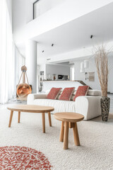 Modern minimalist living room interiors with bold furniture and decor. Luxury residential Real Estate interior design composition.