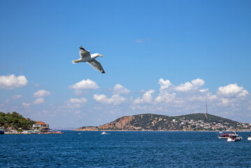 Beautiful panoramic view of Istanbul city and Marmara sea from the shores of Princes' Islands on a sunny summer day and copy space
