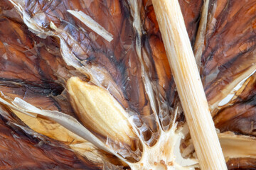 dried orange slice  macro  detail.